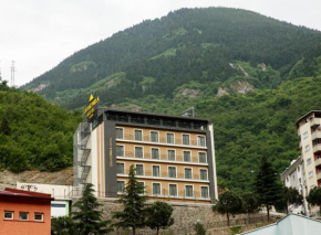 Hotels in Maçka